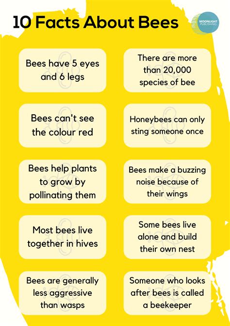 10 Fascinating Bee Facts for Kids | Free PDF - Moonlight Publishing