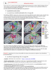 tp plasticité cérébrale ts