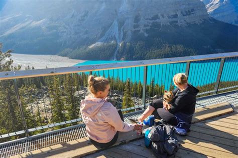 Things I Wish I Knew Before Visiting Peyto Lake