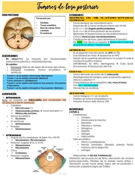 Tumores Infratentoriales E Intrarraquideos Mar A Fernanda Cuya Udocz