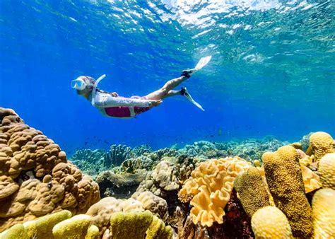 solomon islands scuba diving   dive adventures