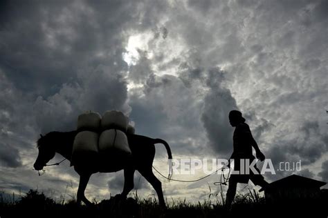 Antisipasi Kemarau Kementan Dorong Gerakan Panen Air Republika