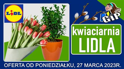 Lidl Oferta Od Poniedzia Ku Kwiaciarnia Lidla Tanie