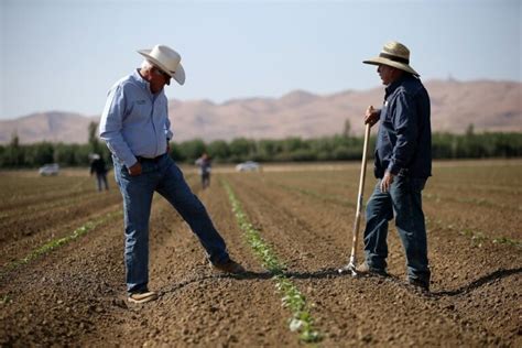 Qué debe tener una empresa agrícola 7 elementos clave que toda