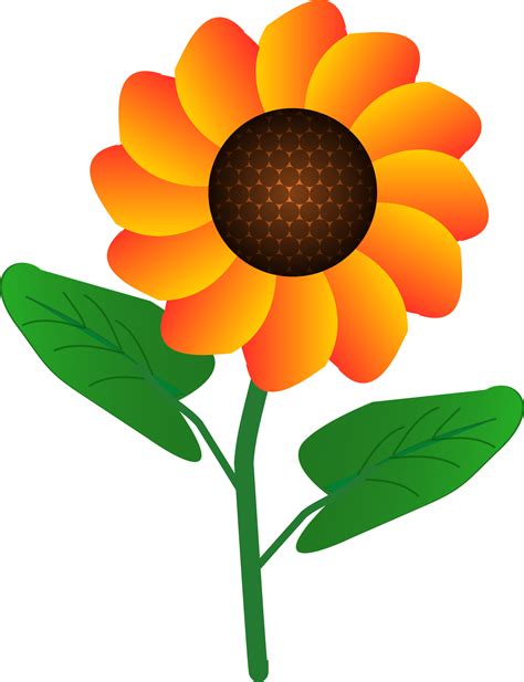 Vector Cartoon Flowers Transparent Image