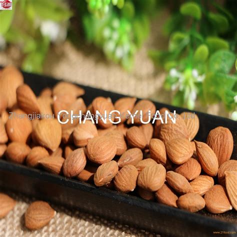 Dried Raw Bitter Apricot Kernels And Apricot Nuts China Changyuan Price