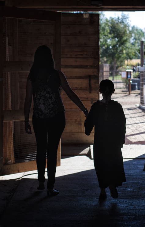Life After Losing Custody - 2019 Update - Just Be Slower