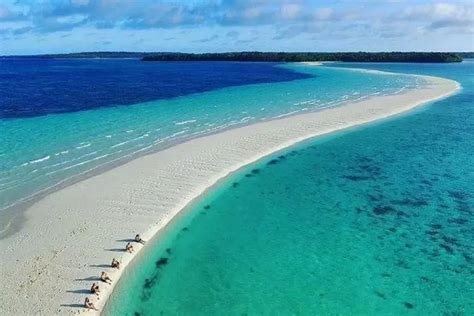 Destinasi Wisata Taman Laut Halmahera Maluku Utara 56 Persen Jenis