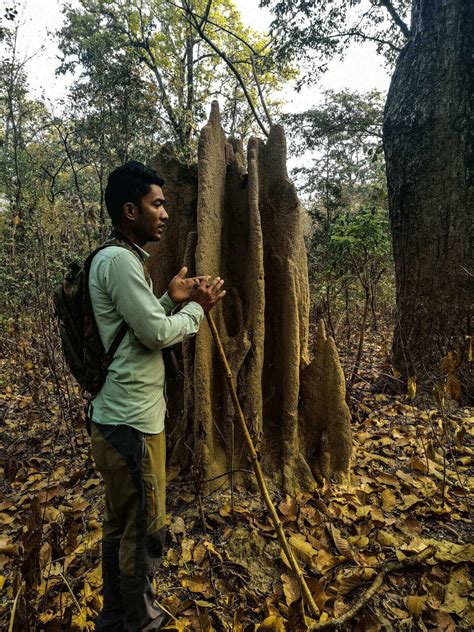 chitwan wild animal 3