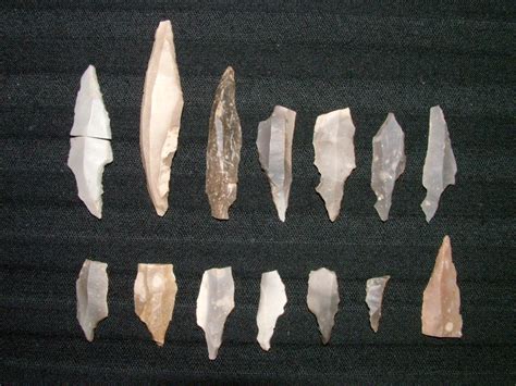 howburn farm lithic tools biggar archaeology group