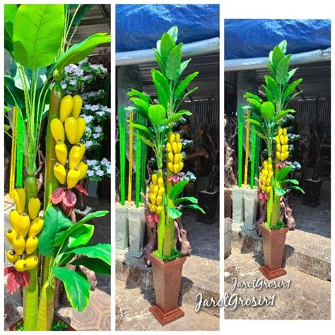 Jual Pohon Pisang Dengan Pot Jumbo Tinggi Meter Bunga Hias Pisang