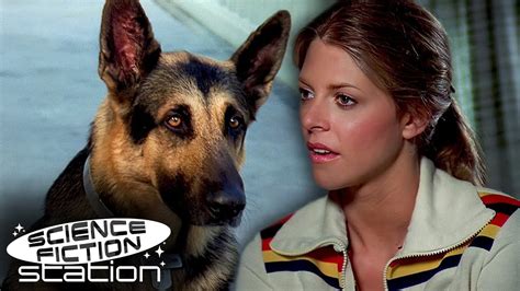 The Bionic Woman Meets The Bionic Dog The Bionic Woman Science