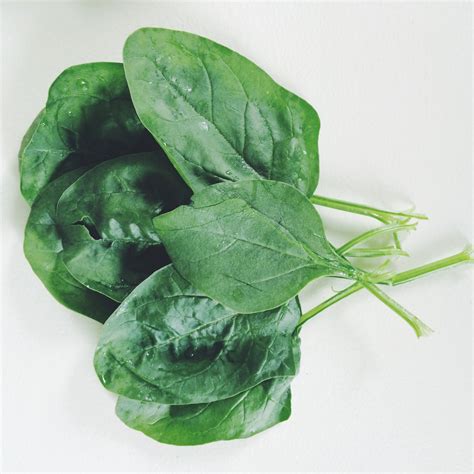 Real Food Encyclopedia - Spinach - FoodPrint
