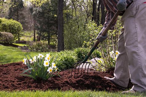 Spring Cleanup Service Spring Yard Cleanup Crystal Lake Elite Lawn Care