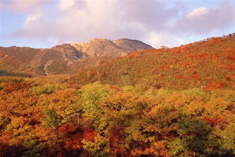 Discover the Enchanting Autumn Foliage of Hakodate with a Hokkaido Tour ...