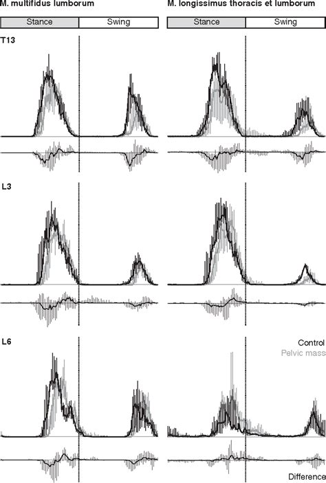 Figure 1 from Function of the epaxial muscles during trotting | Semantic Scholar