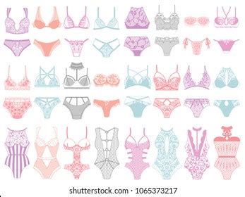 Collection Lingerie Panty Bra Set Vector Stock Vector Royalty Free