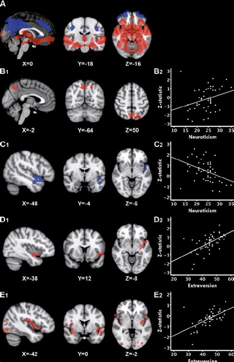 A Resting State Functional Connectivity Rsfc Of The Bilateral