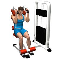 Ab crunch machine exercises - pereimg