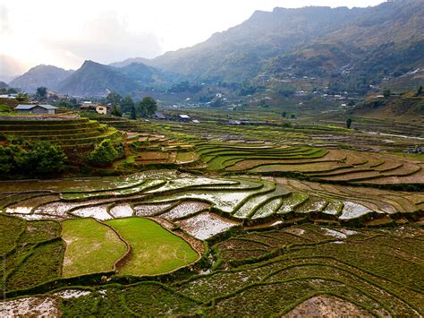 Terraced Rice Fields By Stocksy Contributor Bisual Studio Stocksy