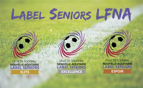 Le Label Seniors Lfna Dernier Jour Ligue De Football