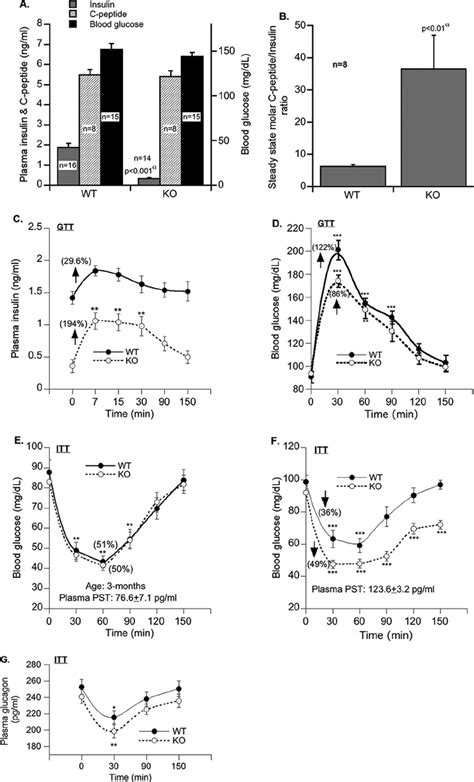 Metabolic Parameters In Fasting 12 H Mice A Fasting Blood Glucose