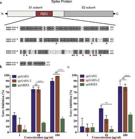 Alignment Of RBD Sequences For SARS CoV And SARS CoV 2 And Competitive