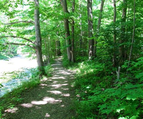 Trail to Lake Erie. | Lake erie, Lake, Quaint