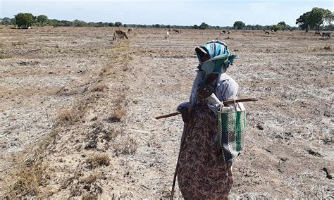 Drought Situation 2019 | Care Sri Lanka