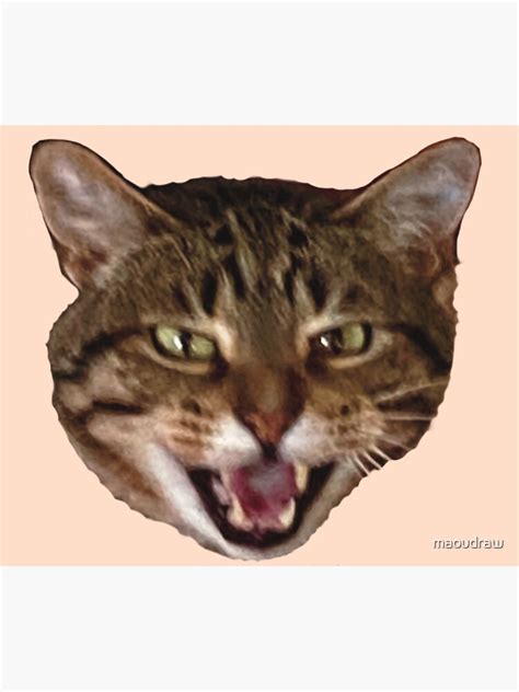 Tabby Cat Meowing Funny Meme Poster For Sale By Maoudraw Redbubble