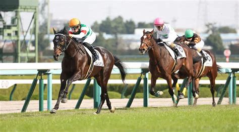 ＜阪神5r・2歳新馬＞直線で抜け出し勝利するセレシオン＝左（撮影・亀井 直樹） ― スポニチ Sponichi Annex ギャンブル