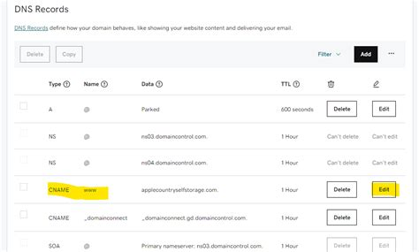 DNS Settings For A Godaddy Domain Easy Storage Solutions