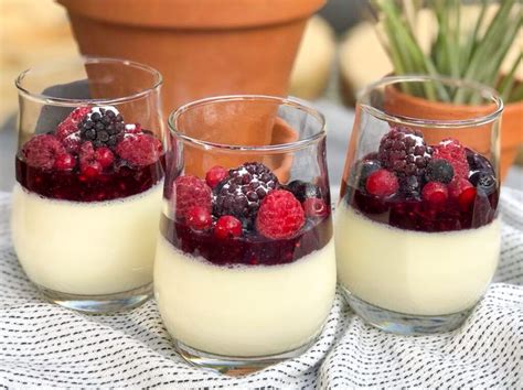 Simpele Panna Cotta Met Rood Fruit Compote Familie Over De Kook