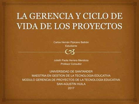 Presentacion La Gerencia Y Ciclo De Vida De Los Proyectos Ppt