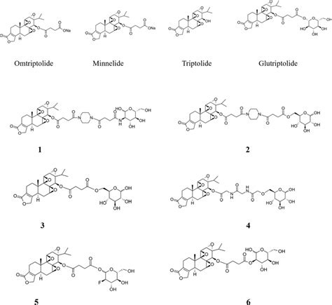 Structure Of Omtriptolide Minnelide Triptolide Glutriptolide 2 And