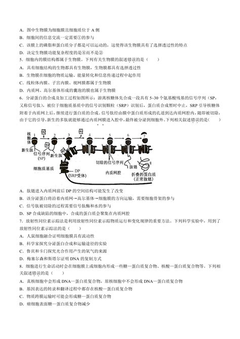 河南省top二十名校2023 2024学年高三上学期调研考试四生物学试题（word版含解析） 21世纪教育网