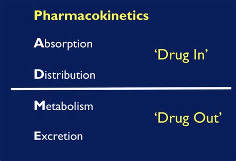 Pharmacokinetics Drug Absorption And Distribution Flashcards Quizlet