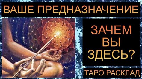 ВАШЕ ПРЕДНАЗНАЧЕНИЕ!! ЗАЧЕМ ВЫ ЗДЕСЬ? #таро #таросегодня #таропрогноз ...