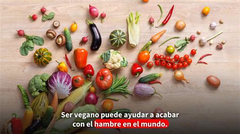 Todo Sobre Veganismo Y Vegetarianismo