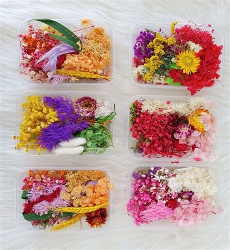 Multicolor Cardboard Resin Dried Flower Box For Gift Size Dimension