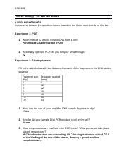 Lab Biology Pcr Worksheet Docx Bsc Lab Biology Pcr Lab