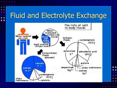 Ppt Fluid And Electrolyte Balance Powerpoint Presentation Free Hot Sex Picture