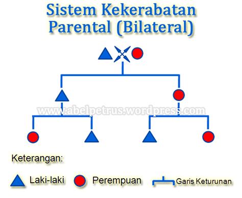 Sistem Kekerabatan Parental Perumperindo Co Id