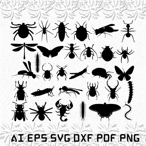 Insect Svg Insects Svg Bee Svg Nature Black Svg Ai Pdf Etsy Ireland