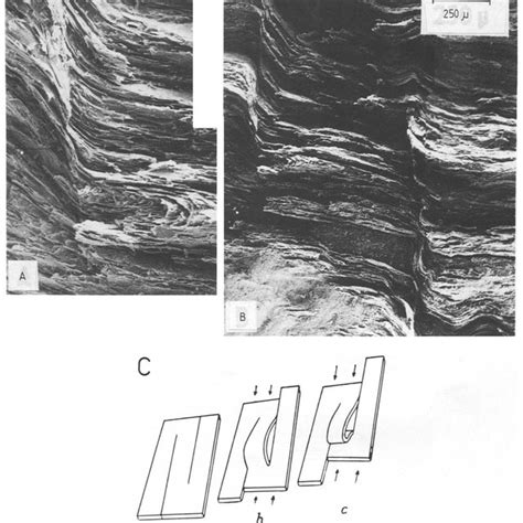 crenulation cleavage development related   lithologies