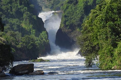 Days Murchison Falls Safari Big Tour Scenic Trail Ventures