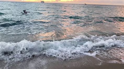 Miami 4K • Oddly Satisfying Ocean Waves to Relax 🌊🎧 (slo-mo)