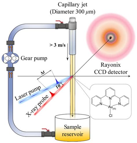 Ijms Free Full Text Gold Nanoparticle Formation Via X Ray