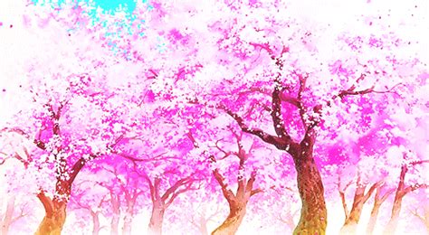 Cherry Blossom Tree Gif | [+] CHERRY BLOSSOM