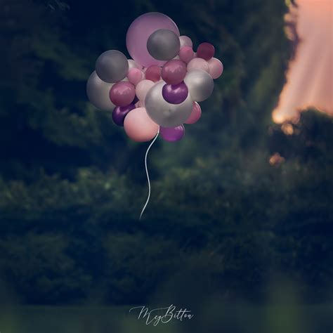 Digital Background Balloon Bundle Meg Bitton Productions